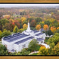 Palmyra and Sacred Grove Aerial
