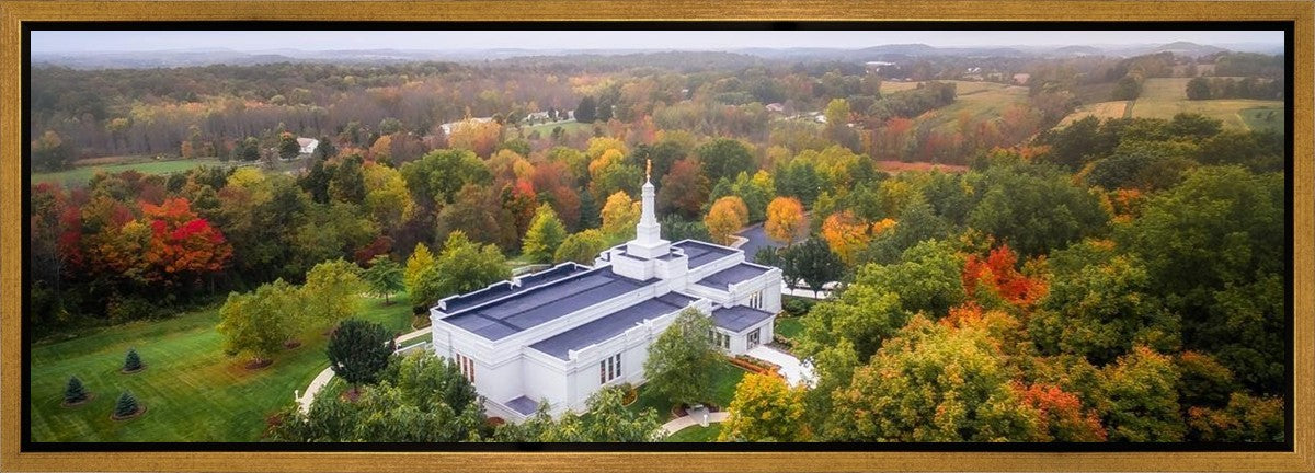 Palmyra and Sacred Grove Aerial