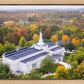 Palmyra and Sacred Grove Aerial