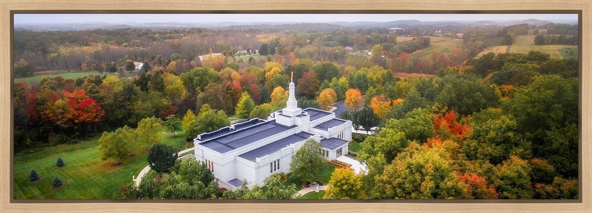 Palmyra and Sacred Grove Aerial