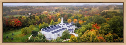 Palmyra and Sacred Grove Aerial