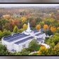 Palmyra and Sacred Grove Aerial
