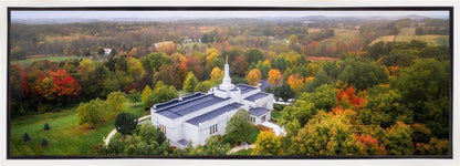 Palmyra and Sacred Grove Aerial
