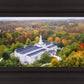 Palmyra and Sacred Grove Aerial