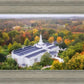 Palmyra and Sacred Grove Aerial