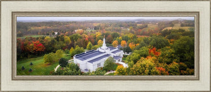 Palmyra and Sacred Grove Aerial