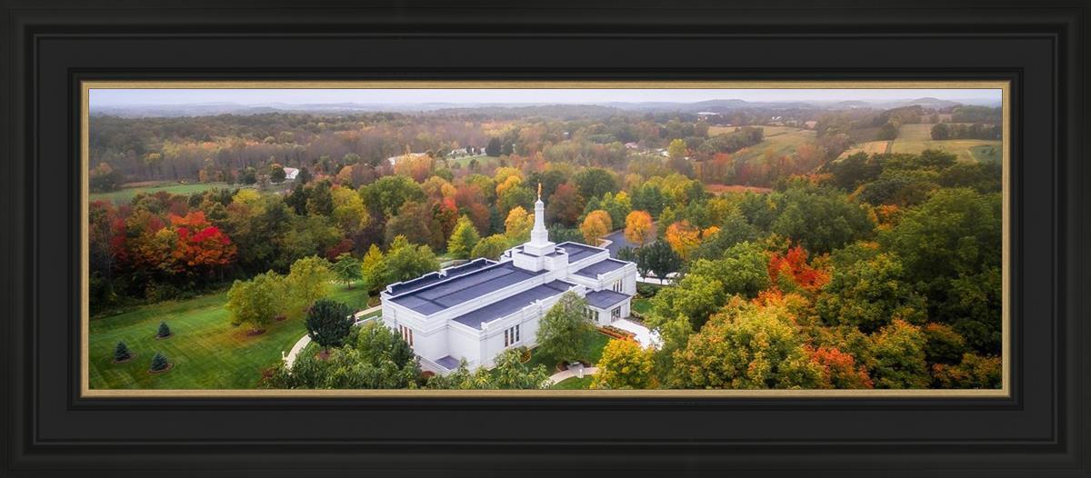 Palmyra and Sacred Grove Aerial