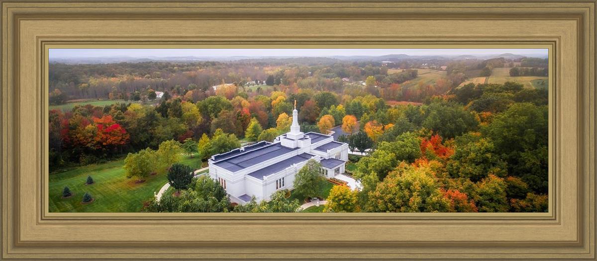 Palmyra and Sacred Grove Aerial