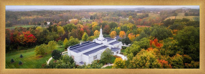 Palmyra and Sacred Grove Aerial