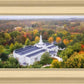 Palmyra and Sacred Grove Aerial