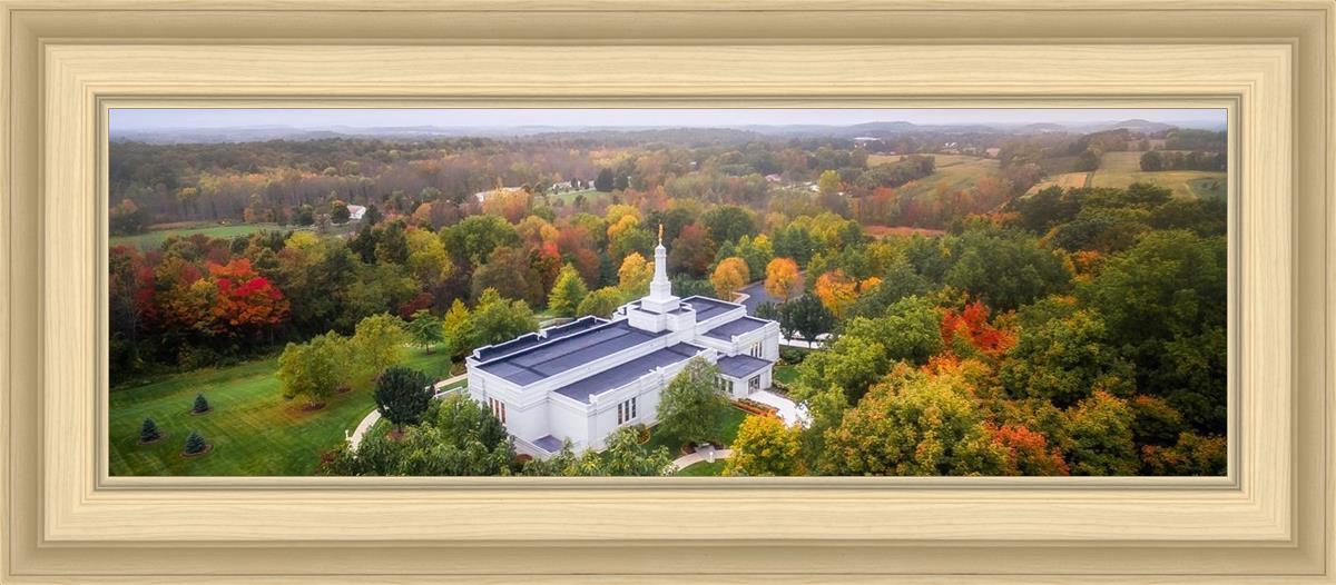 Palmyra and Sacred Grove Aerial