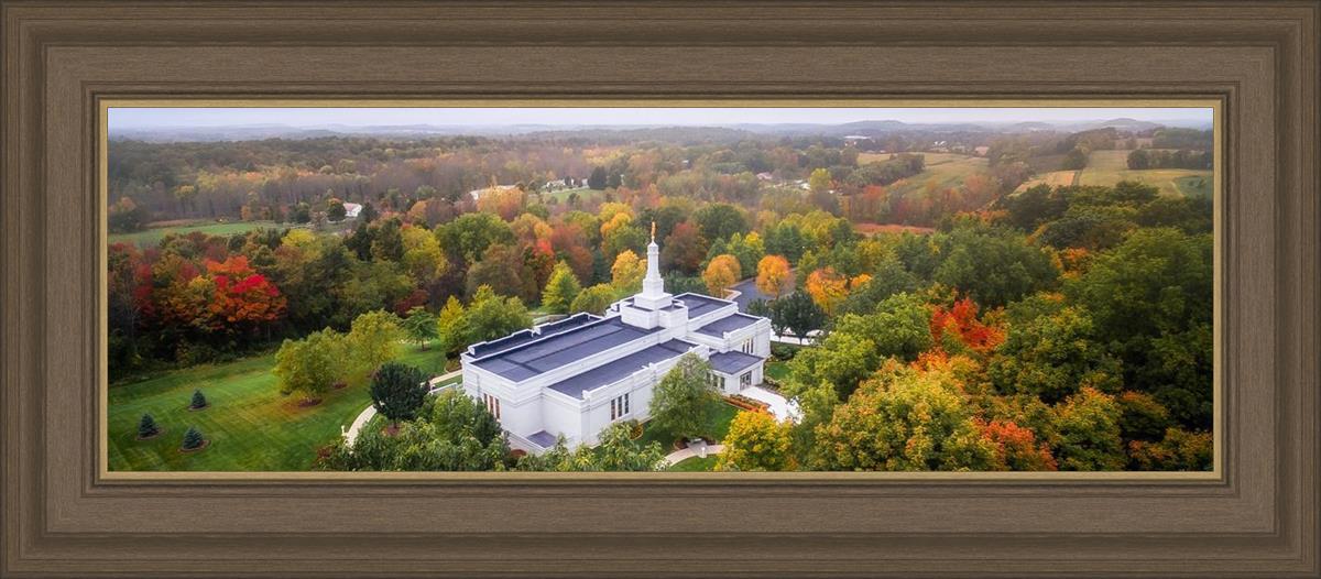 Palmyra and Sacred Grove Aerial