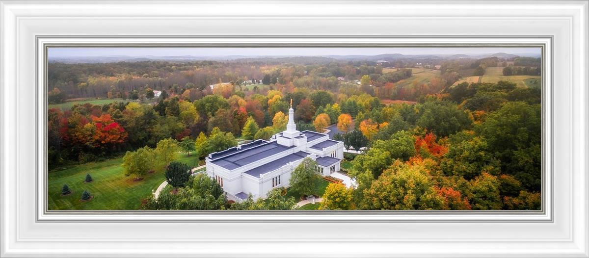 Palmyra and Sacred Grove Aerial
