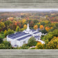 Palmyra and Sacred Grove Aerial