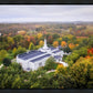 Palmyra and Sacred Grove Aerial