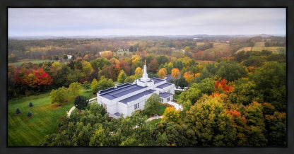 Palmyra and Sacred Grove Aerial