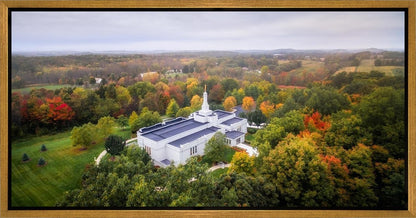 Palmyra and Sacred Grove Aerial