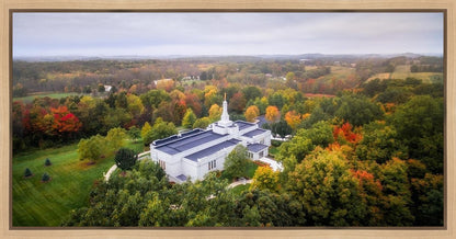 Palmyra and Sacred Grove Aerial