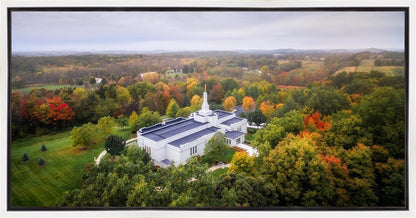 Palmyra and Sacred Grove Aerial