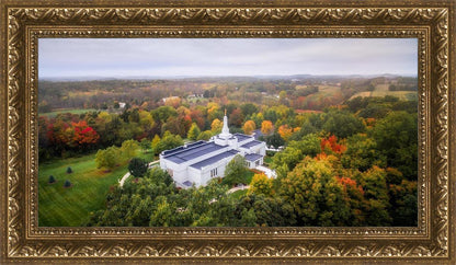 Palmyra and Sacred Grove Aerial