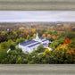 Palmyra and Sacred Grove Aerial