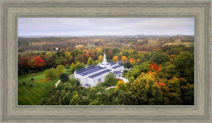 Palmyra and Sacred Grove Aerial