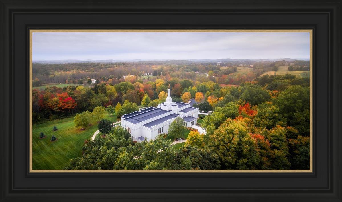 Palmyra and Sacred Grove Aerial