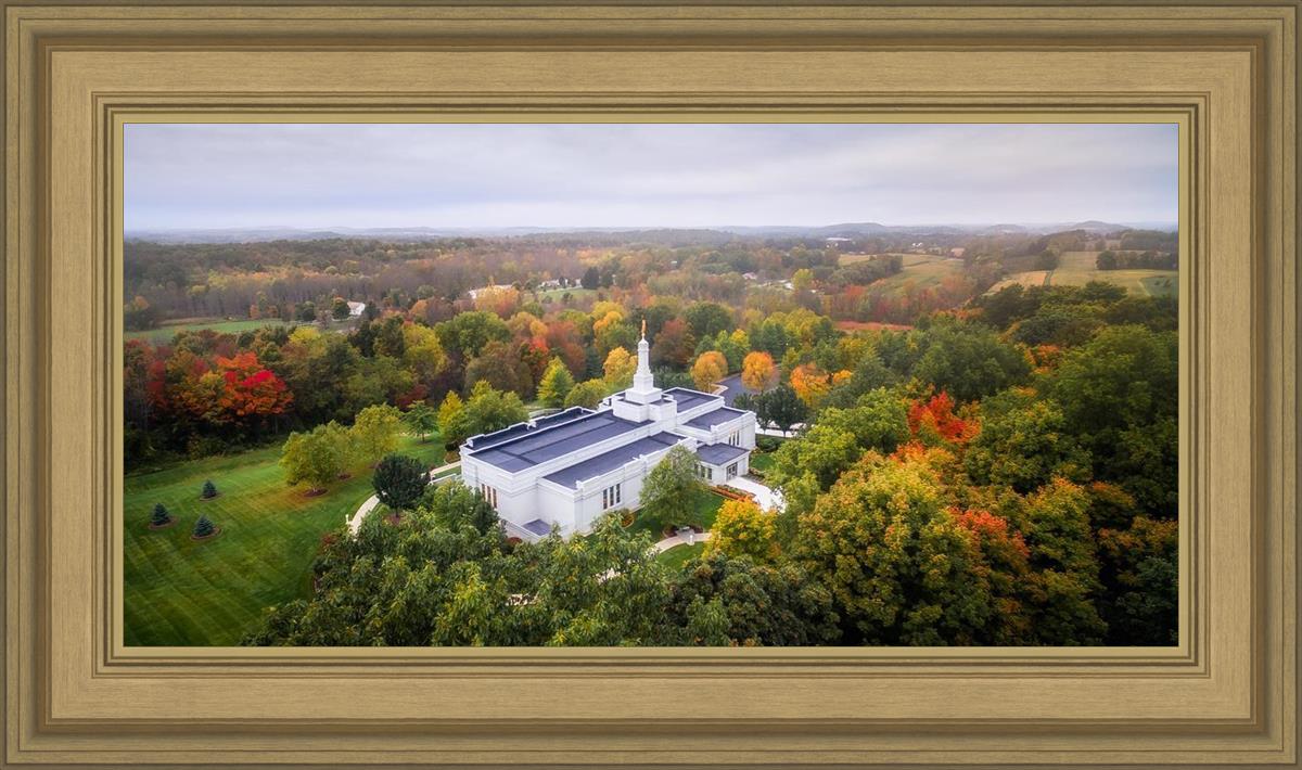 Palmyra and Sacred Grove Aerial
