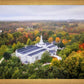 Palmyra and Sacred Grove Aerial