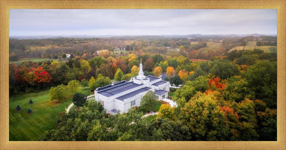 Palmyra and Sacred Grove Aerial