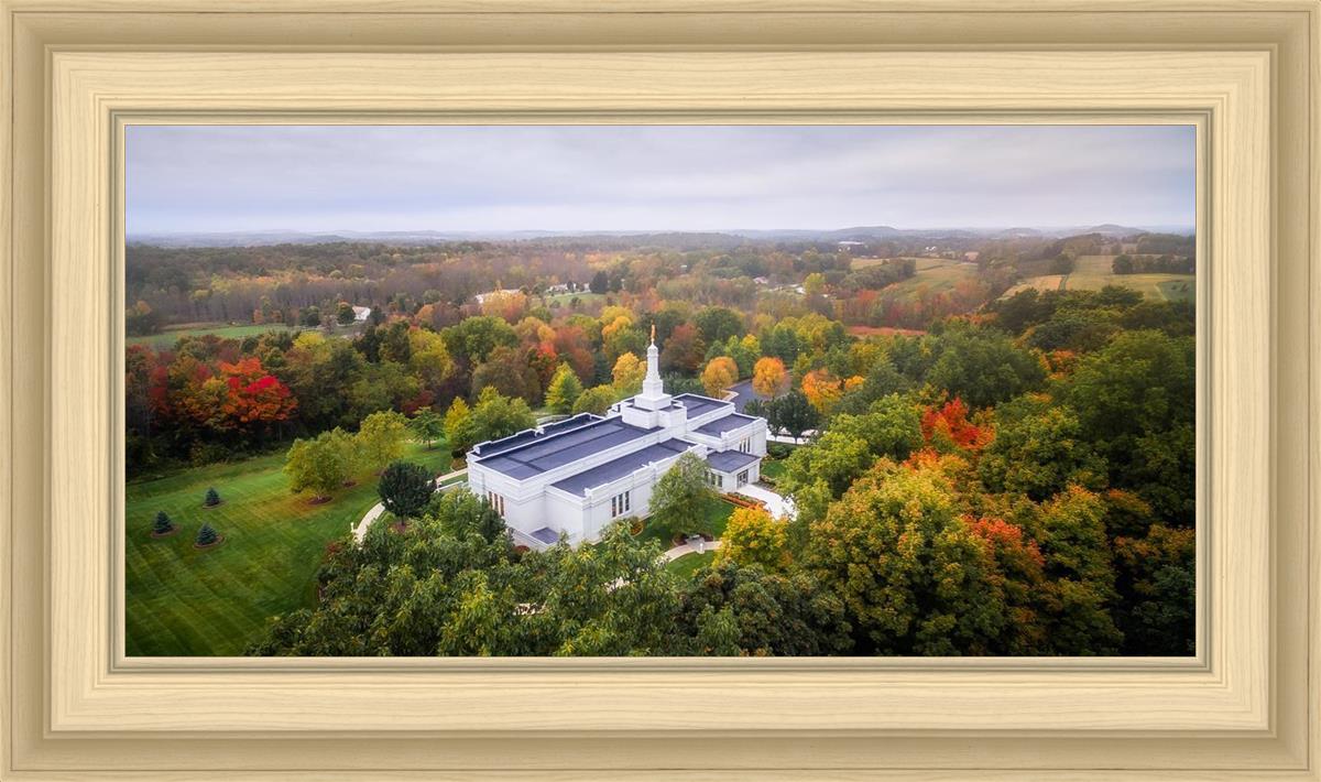 Palmyra and Sacred Grove Aerial
