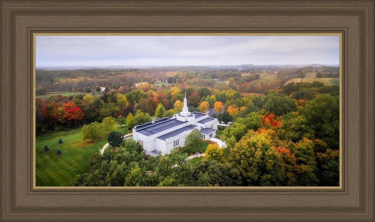 Palmyra and Sacred Grove Aerial