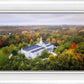 Palmyra and Sacred Grove Aerial