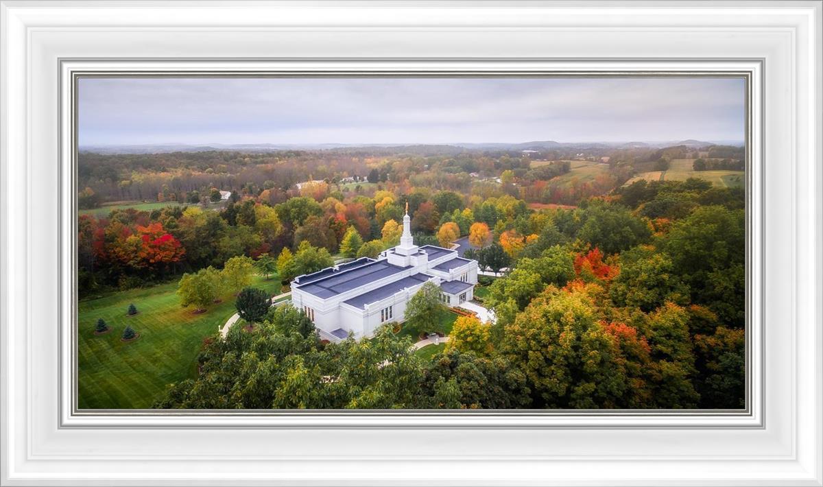 Palmyra and Sacred Grove Aerial