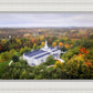 Palmyra and Sacred Grove Aerial