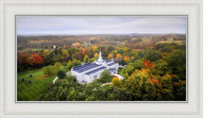 Palmyra and Sacred Grove Aerial