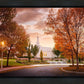 Palmyra Autumn