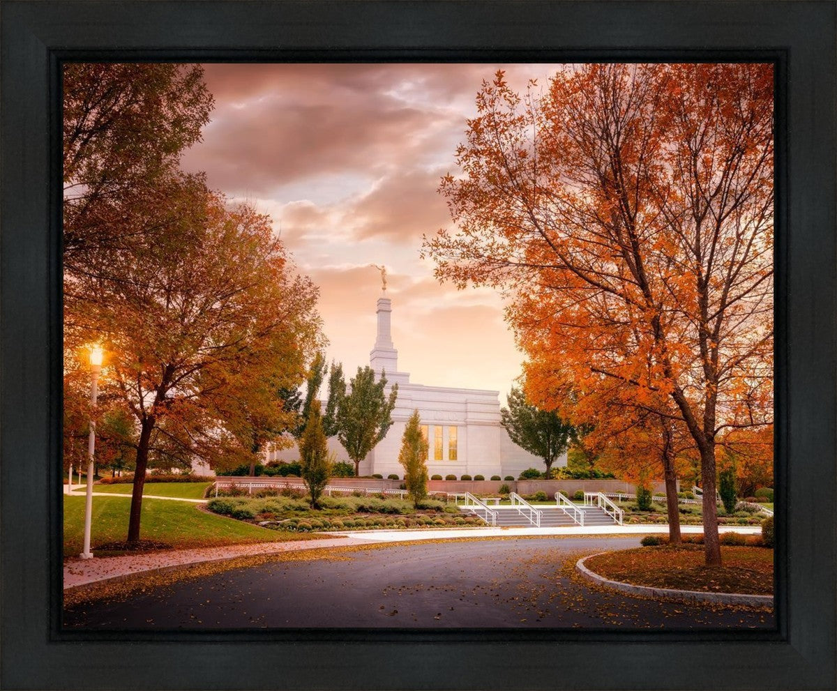 Palmyra Autumn