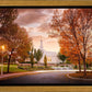 Palmyra Autumn