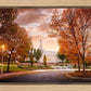 Palmyra Autumn