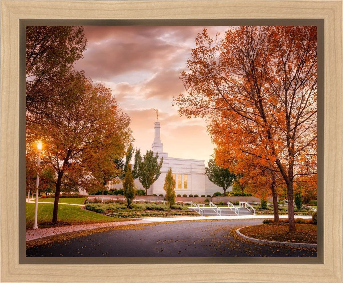 Palmyra Autumn