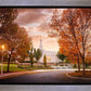 Palmyra Autumn