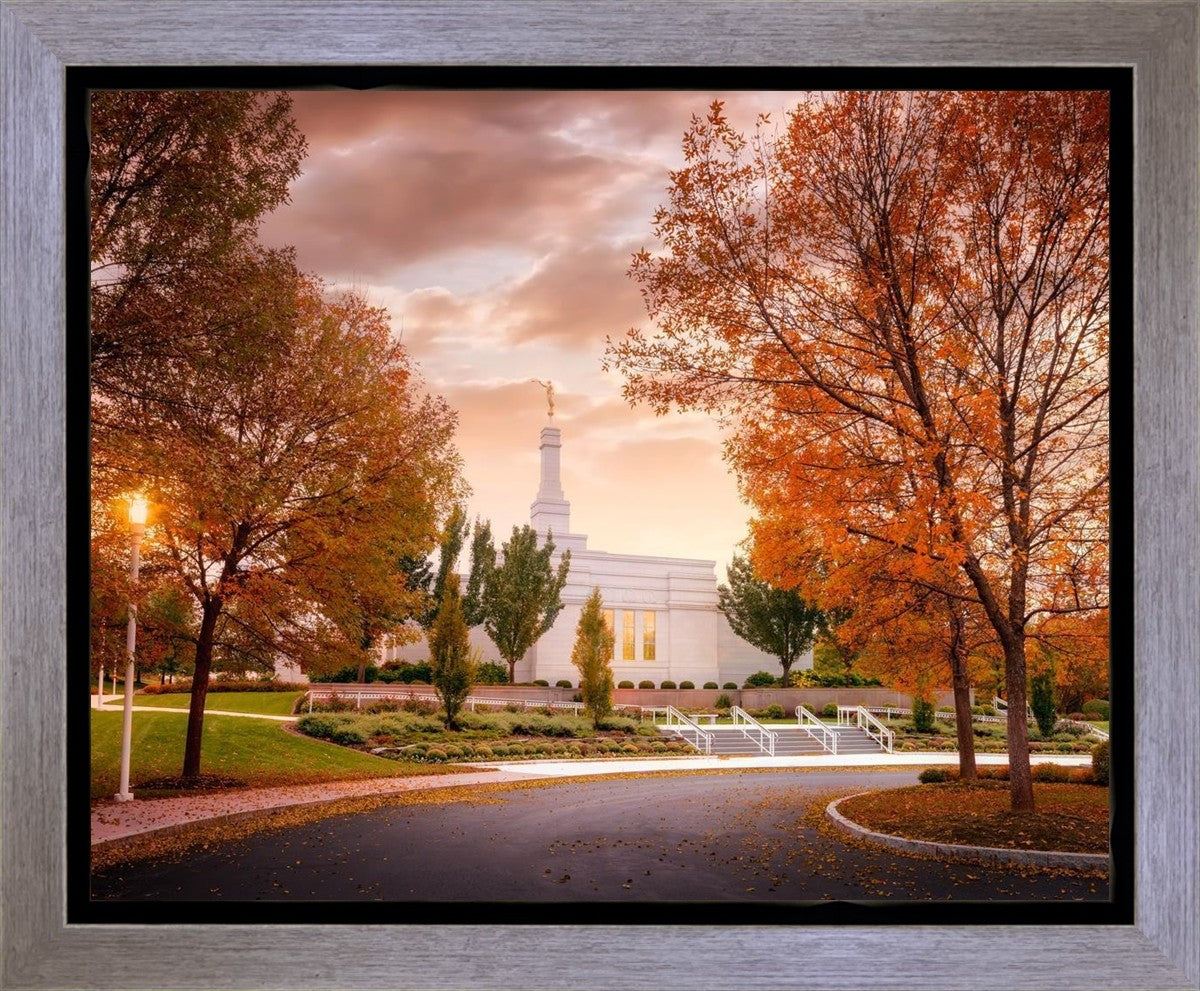 Palmyra Autumn