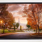 Palmyra Autumn