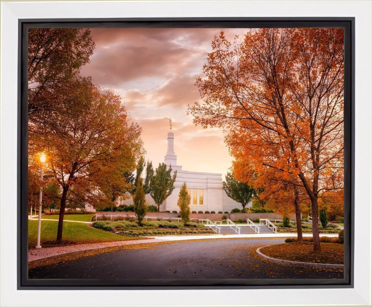 Palmyra Autumn