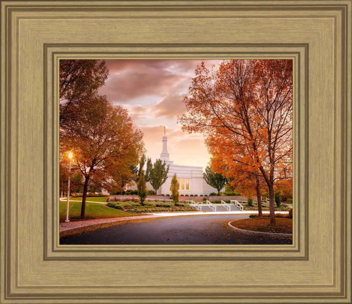 Palmyra Autumn