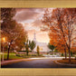 Palmyra Autumn