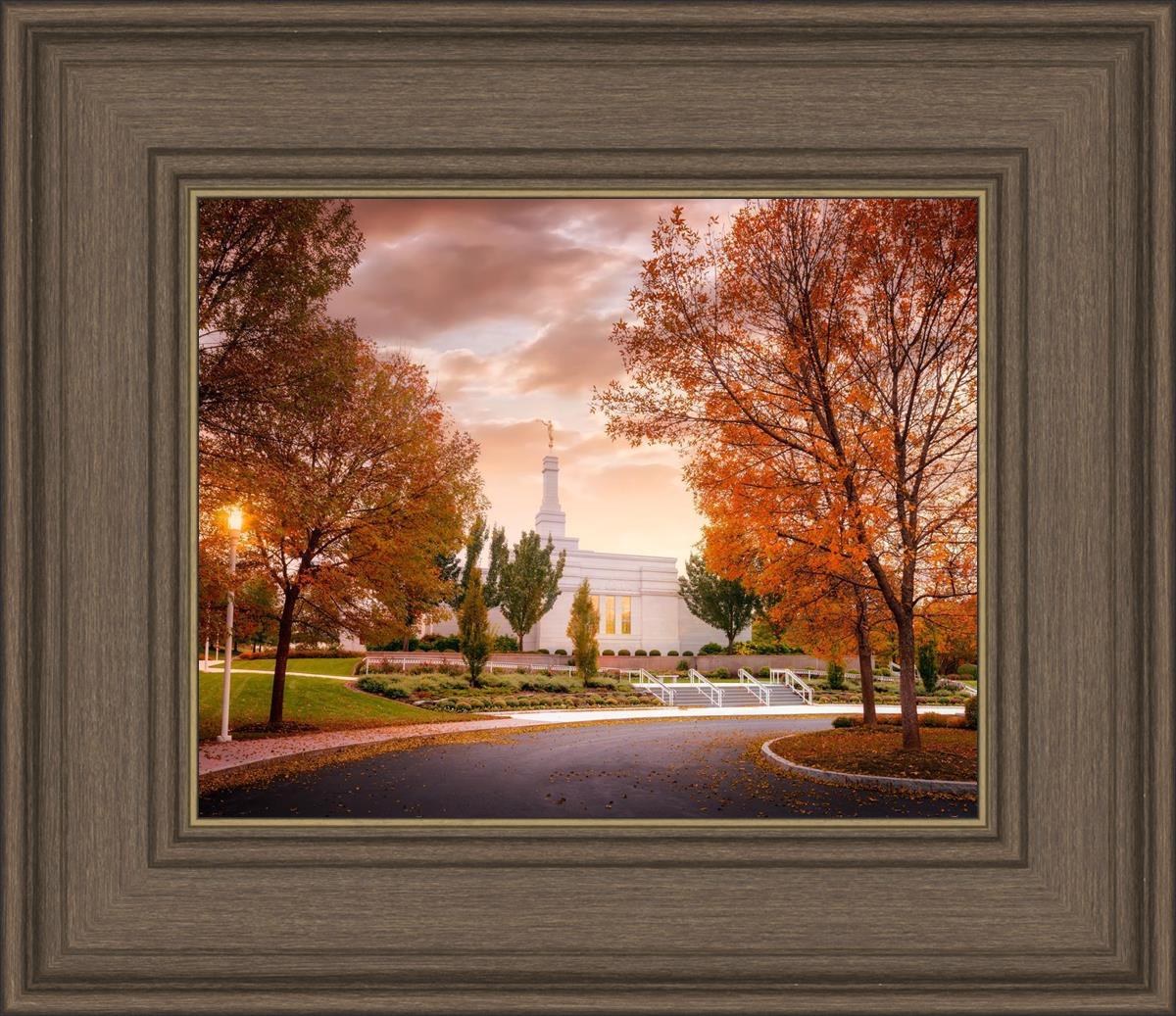 Palmyra Autumn
