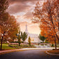 Palmyra Autumn
