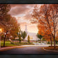 Palmyra Autumn